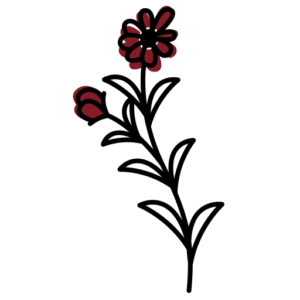 Personalized Service